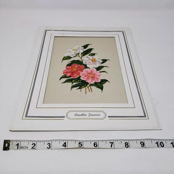 Original Vintage Silk Print 1965 CAMELLIA JAPONICA by BIANCHINI-FERIER Matted - Picture 6 of 7